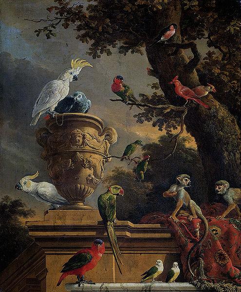 Melchior de Hondecoeter The Menagerie oil painting picture